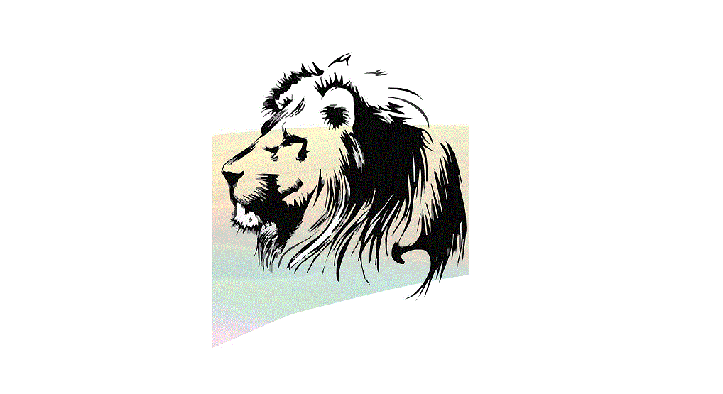 Diseños de Reino